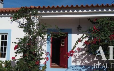 Villa for sale in Álcacer do Sal, Alcacer do Sal
