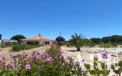 Villa for sale in Torrão, Alcacer do Sal