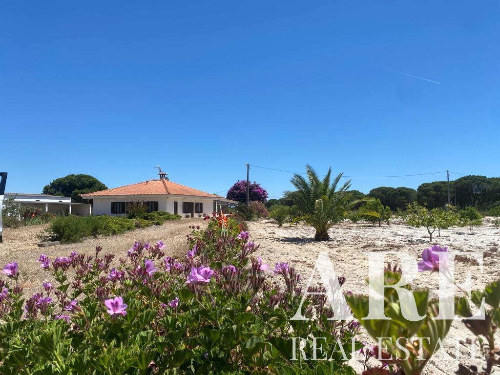 villa-for-sale-in-torrao-alcacer-do-sal-28105-001