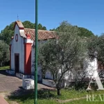 Farmhouse for sale in São Bartolomeu de Messines, Silves, Algarve • WOW67581 - gallery image