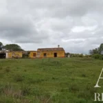 Farmhouse for sale in São Bartolomeu de Messines, Silves, Algarve • WOW67581 - gallery image