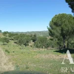 Farmhouse for sale in São Bartolomeu de Messines, Silves, Algarve • WOW67581 - gallery image