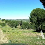 Farmhouse for sale in São Bartolomeu de Messines, Silves, Algarve • WOW67581 - gallery image