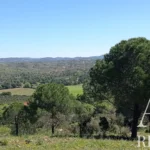 Farmhouse for sale in São Bartolomeu de Messines, Silves, Algarve • WOW67581 - gallery image